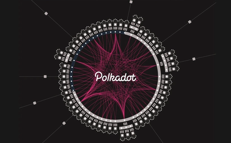 Пять новых Парачейнов Polkadot, ускоряющий рост и технические обновления в сети