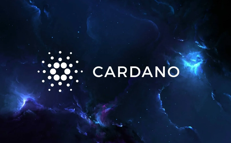 Крупные держатели Cardano проявили повышенную активность в последние дни